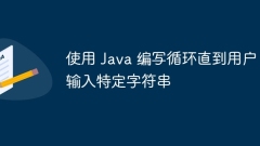 Write a loop in Java until the user enters a specific string