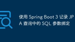 Record SQL parameter binding in JPA query using Spring Boot 3