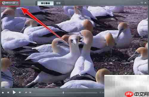 realplayer修改视频缓存时间