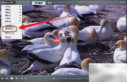 RealPlayer修改视频缓存时间