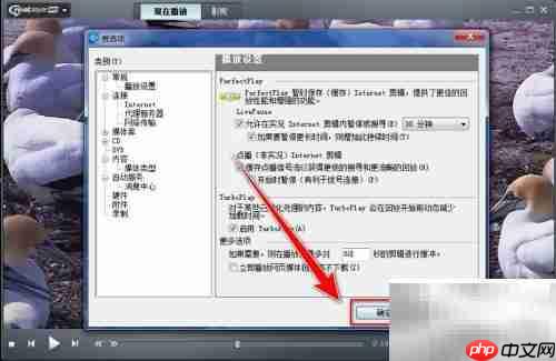 RealPlayer修改视频缓存时间