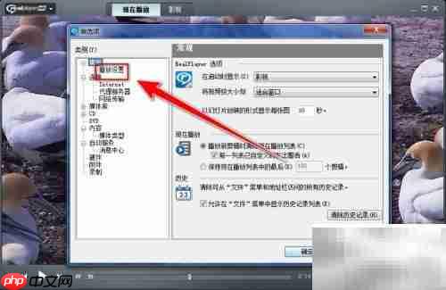 RealPlayer修改视频缓存时间
