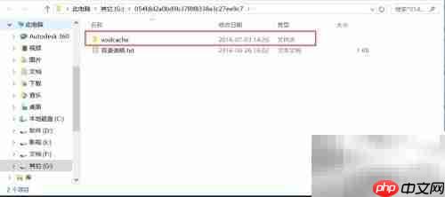 腾讯视频转MP4教程