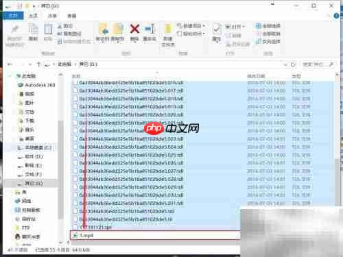腾讯视频转MP4教程