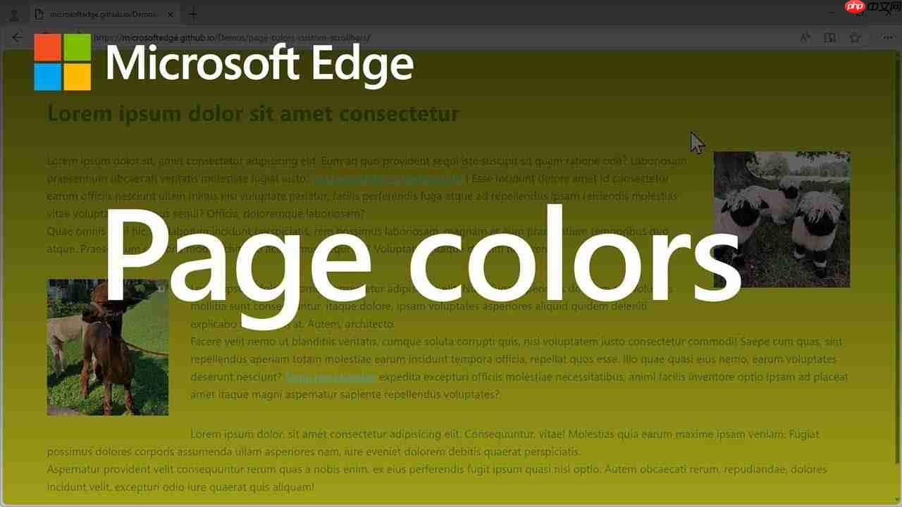 microsoft edge设置ie浏览器 win10浏览器edge设置