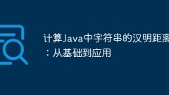 Calculate the Hamming distance of strings in Java: from basic to application