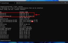 AlmaLinux 简化 Win11 Linux 子系统部署：绕过微软应用商店