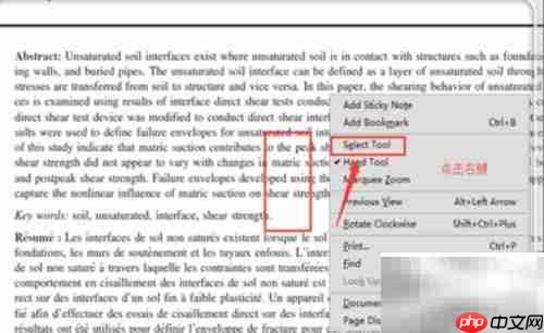 Adobe复制文字操作指南