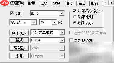 视频大小调整技巧