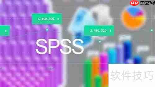 SPSS分析软件应用环境解析