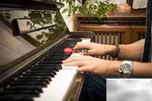 左手伴奏技巧：弹钢琴必备