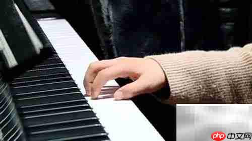 左手伴奏技巧：弹钢琴必备