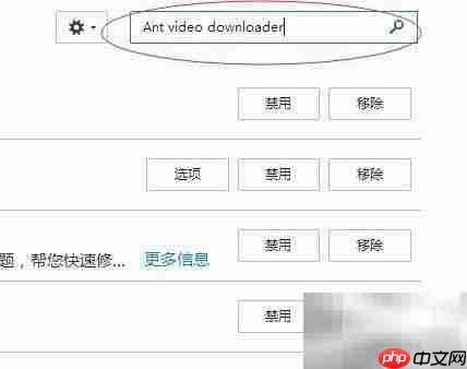 Ant视频下载插件一键抓取网页视频
