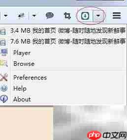 Ant视频下载插件一键抓取网页视频