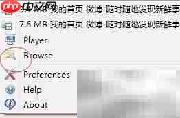 Ant视频下载插件一键抓取网页视频