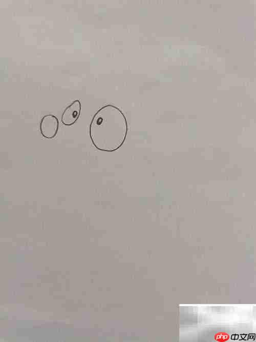 大眼睛狐狸绘画教程