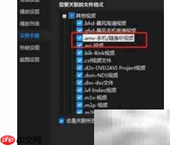 暴风影音关联AMV文件方法