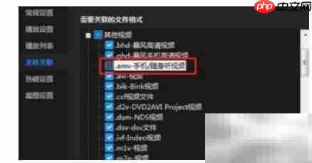 暴风影音关联AMV文件方法