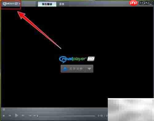 realplayer清晰度调整方法