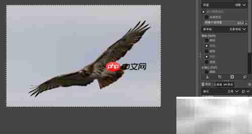 GIMP统一转换调整图像大小