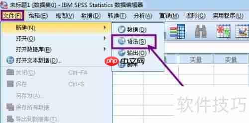 SPSS内存不足解决方法