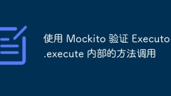 Verify method calls inside Executor.execute using Mockito