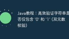Java Tutorial: Efficiently verify whether strings contain only '0' and '1' (dual number verification)