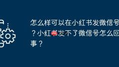 Bagaimana saya boleh menyiarkan akaun WeChat di xiaohongshu? Apa yang salah dengan Xiaohongshu tidak menghantar akaun WeChat?