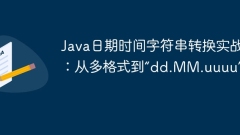 Java date and time string conversion practice: from multiple formats to 'dd.MM.uuuuu'