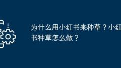 Xiaohongshu? ???? ??? ?? ??? ?????? Xiaohongshu?? ??? ?? ???