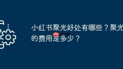 Xiaohongshu? ??? ??? ?????? ?? ??? ??????