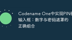 Implementing PIN code input box in Codename One: the correct combination of numbers and password masks