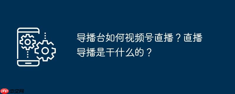 導(dǎo)播臺(tái)如何視頻號(hào)直播？直播導(dǎo)播是干什么的？