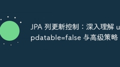JPA column update control: In-depth understanding of updatable=false and advanced policies