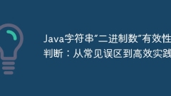 Judgment of the validity of Java string 'binary number': From common misunderstandings to efficient practices
