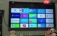 抖音电视版叫什么