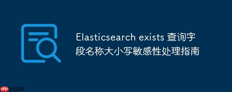 Elasticsearch exists 查询字段名称大小写敏感性处理指南 Elasticsearch exists 查询字段名称大小写敏感性处理指南