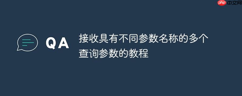 接收具有不同参数名称的多个查询参数的教程