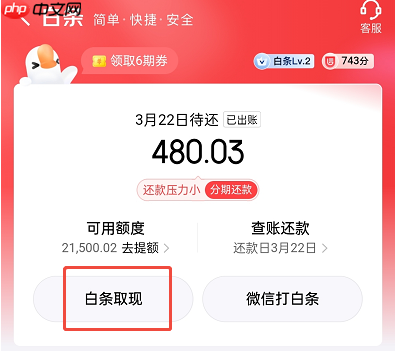 京东白条的钱怎么提现出来？提现到微信、到银行卡的步骤图