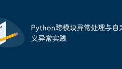 Pengendalian pengecualian silang modul Python dan amalan pengecualian tersuai