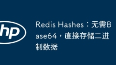 Redis Hashes: Tiada Base64 Diperlukan, Simpan Data Perduaan Secara Langsung