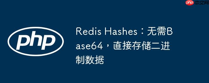 Redis Hashes：无需Base64，直接存储二进制数据