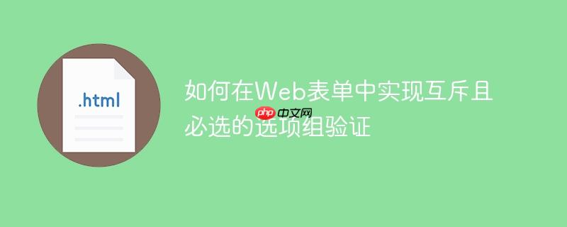 如何在Web表单中实现互斥且必选的选项组验证