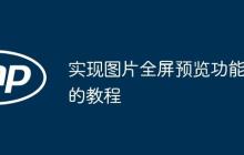 实现图片全屏预览功能的教程