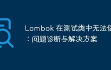 Lombok 在测试类中无法使用:问题诊断与解决方案