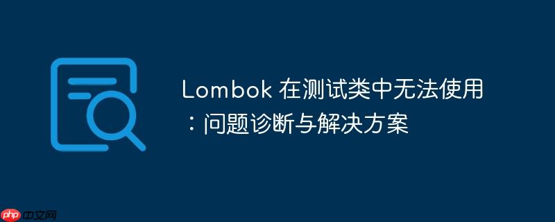 lombok 在测试类中无法使用：问题诊断与解决方案