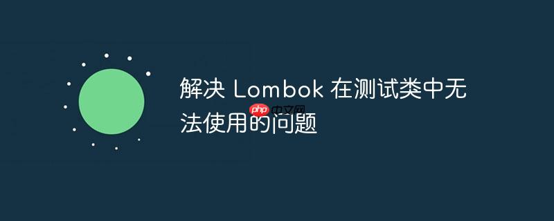 解决 lombok 在测试类中无法使用的问题