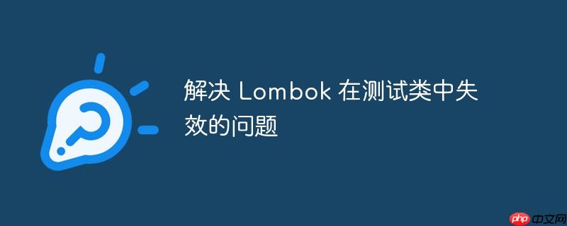 解决 Lombok 在测试类中失效的问题