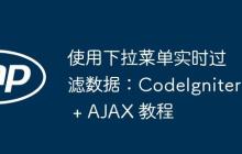 使用下拉菜单实时过滤数据:CodeIgniter + AJAX 教程