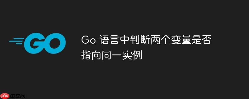 go 语言中判断两个变量是否指向同一实例